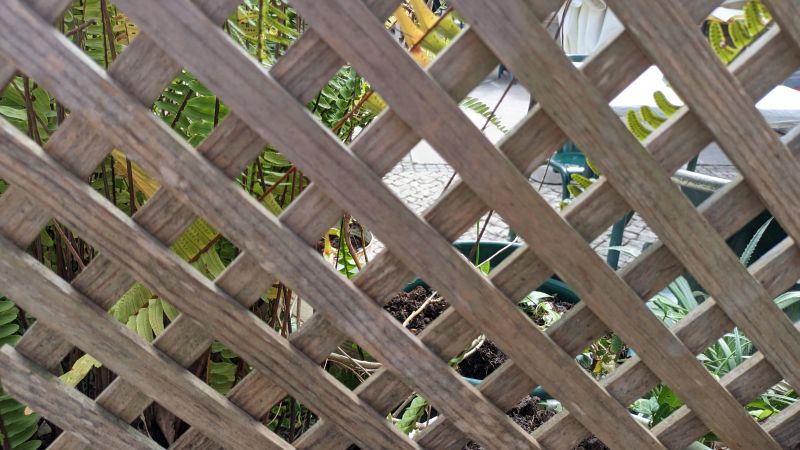 Garden Trellis Installation in Wilmington, NC