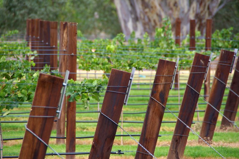 Trellis Fence Construction in Wilmington, NC